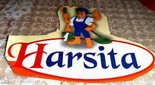 logo- hasita
